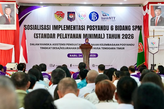 Ketum TP Posyandu: Posyandu Kini Jadi Pusat Pelayanan 6 Bidang SPM di Desa