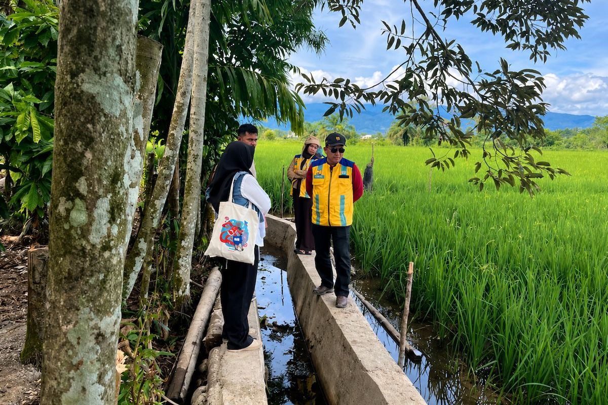 Musim Tanam Tiba, Nagan Raya Manfaatkan TKD untuk Rehabilitasi Sawah Terdampak