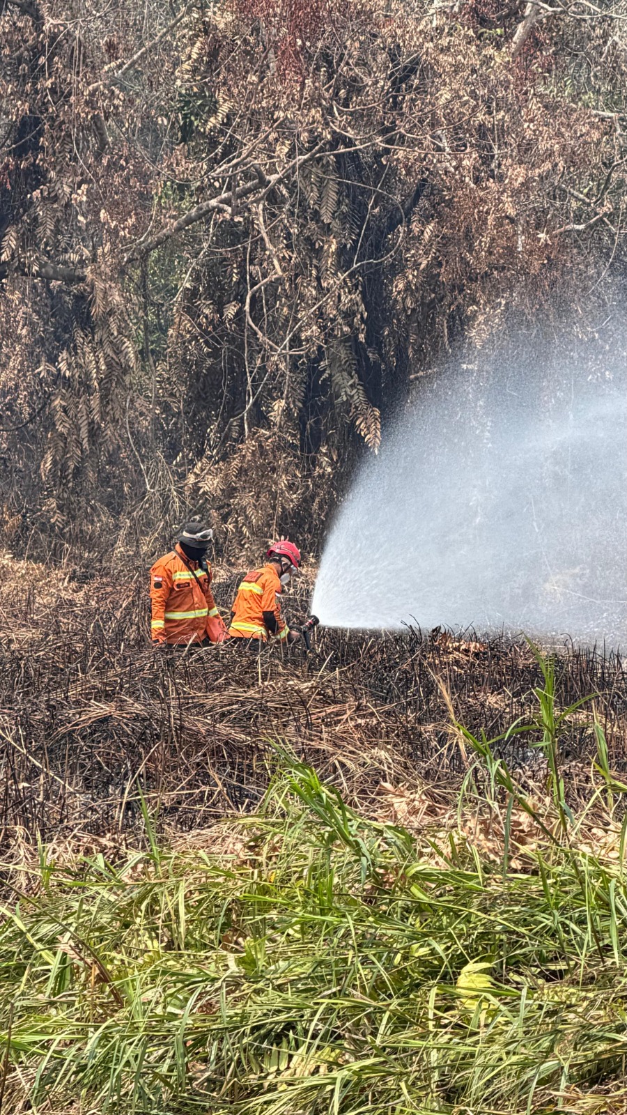 Perkembangan Situasi dan Penanganan Bencana di Tanah Air 31 Agustus 2026