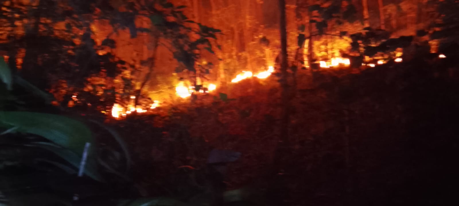 Perkembangan Situasi dan Penanganan Bencana di Tanah Air 22 September 2026