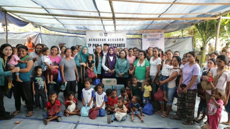 Enam SPM Jadi Fokus Penguatan Posyandu di Manggarai Timur